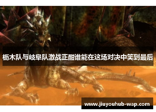 枥木队与岐阜队激战正酣谁能在这场对决中笑到最后